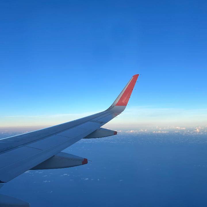 ごめんなさい🙏