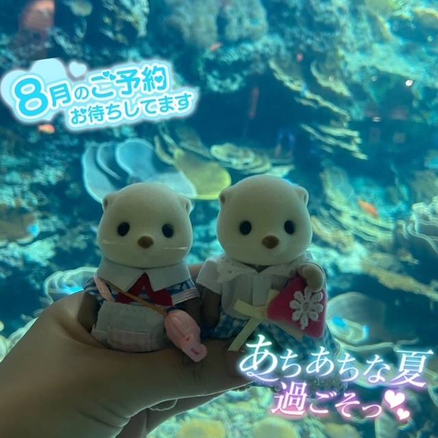 🩵ྀིご予約状況🩵ྀི(週末お早めに)