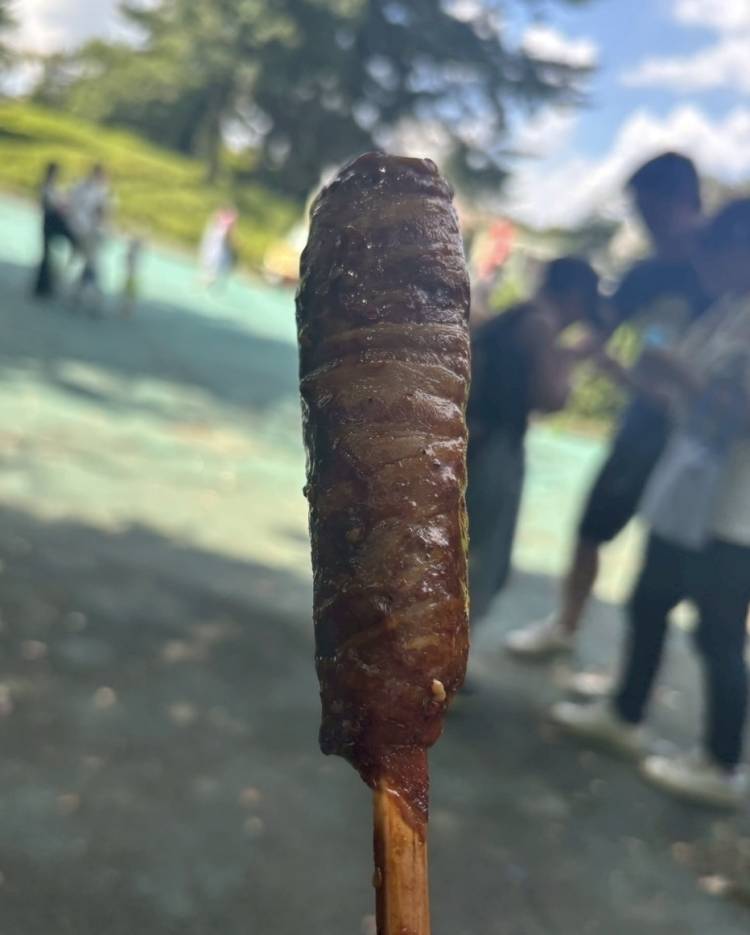 本日居るよ〜⤴︎⤴︎⤴︎