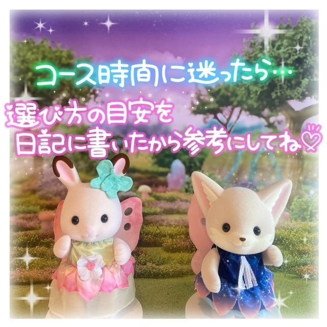 🎀コース選びについて参考に🎀