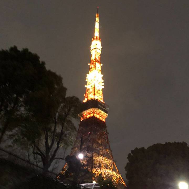 昨日の思い出