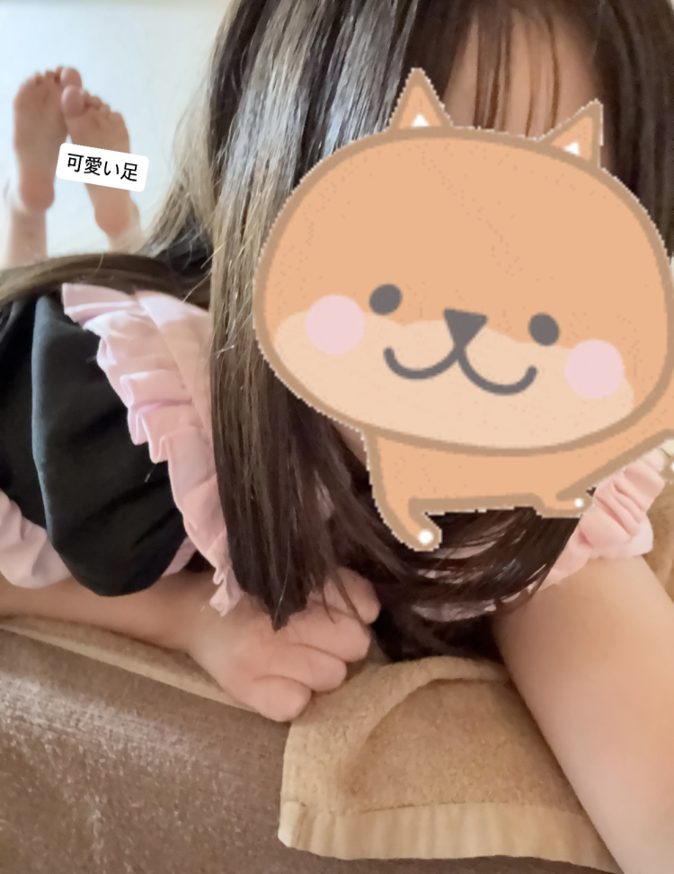かまって🐶