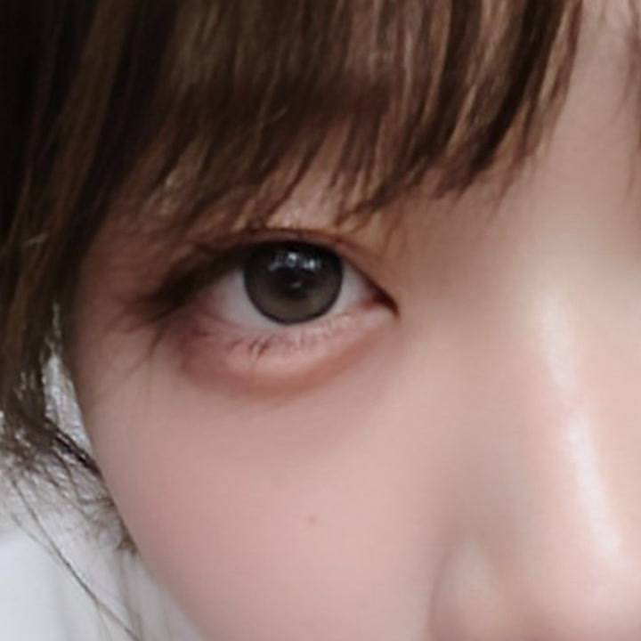 目👀🐰