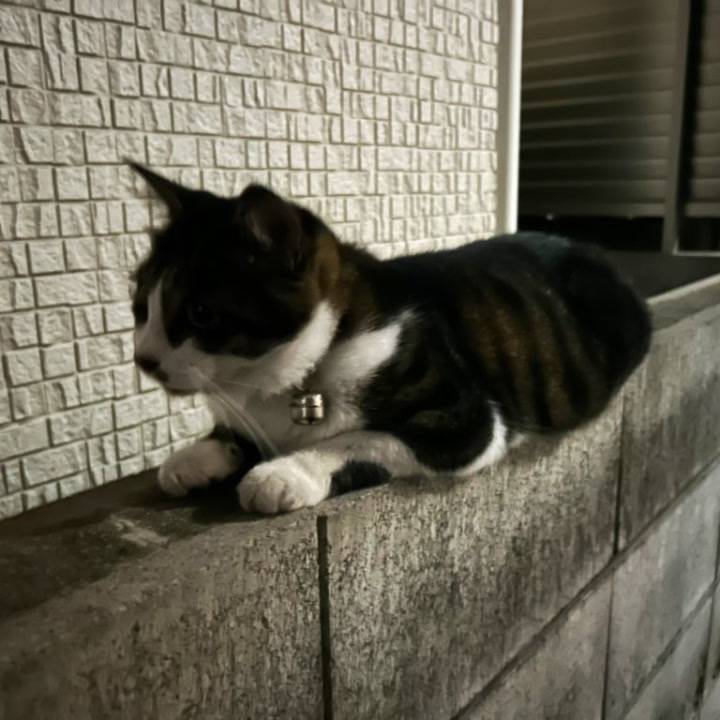 お休みです🙇‍♀️