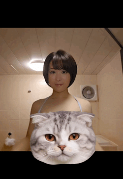 (=ﾟωﾟ=)