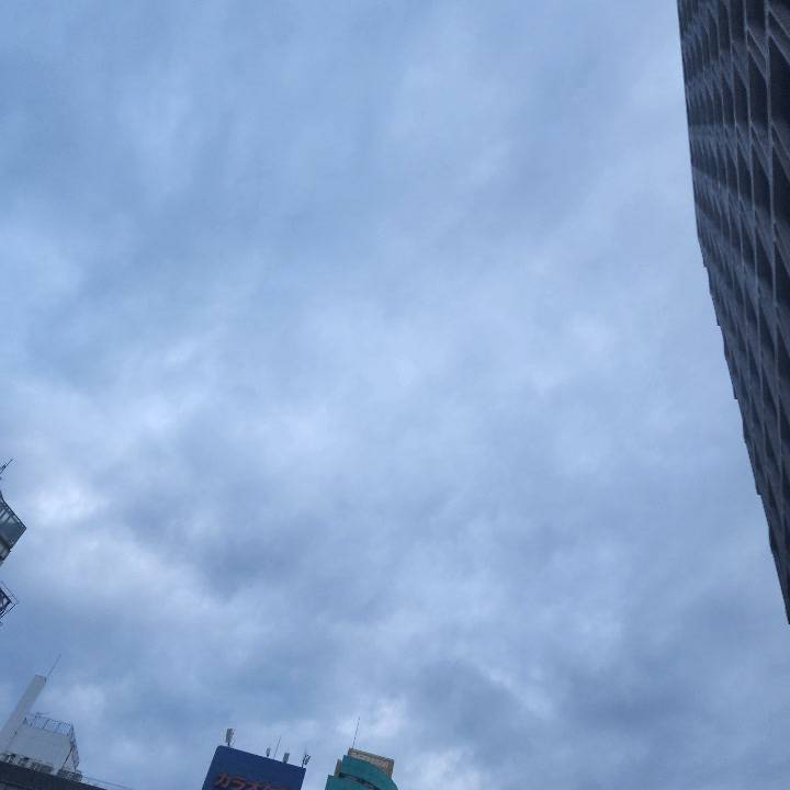 おはよう(｡･･)ﾉ♪