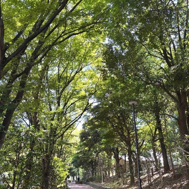 自然が多いと蚊も多い