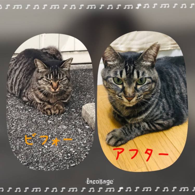 10月2日(水)