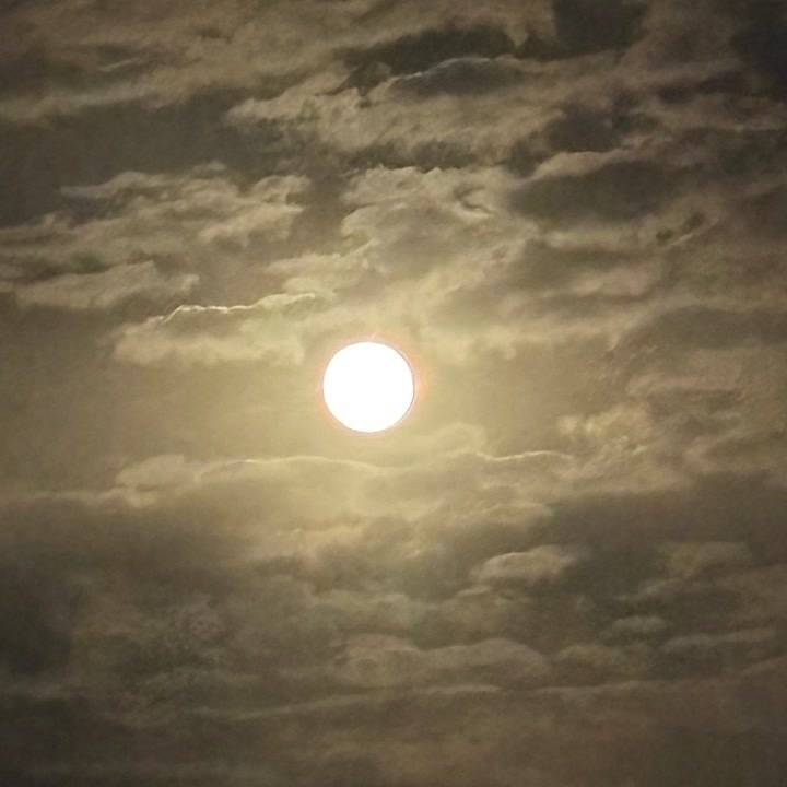 十五夜、中秋の名月、お月見…
