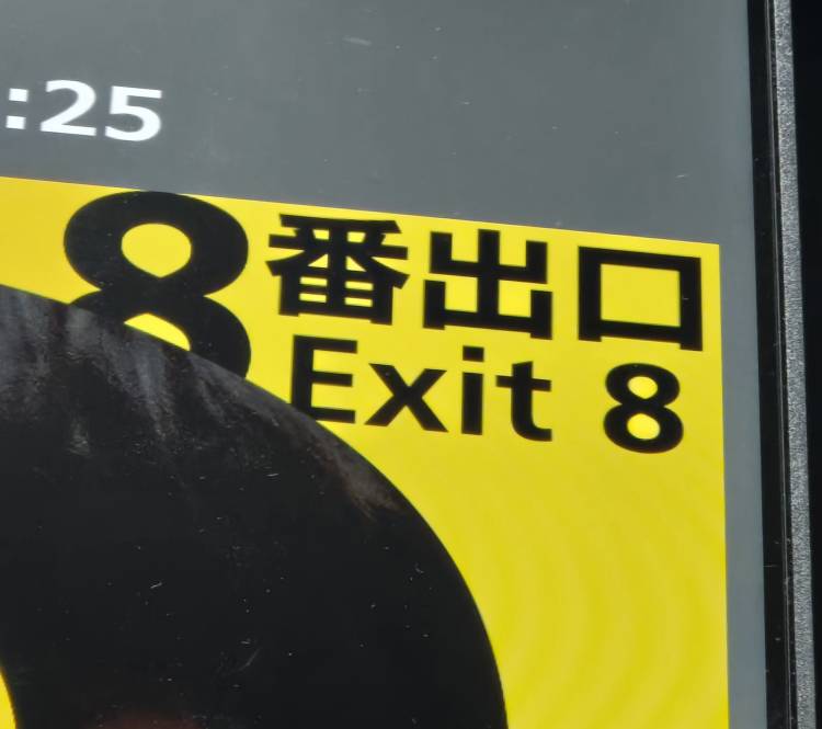 (=ﾟωﾟ=)
