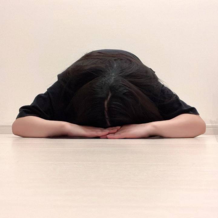 朝から大謝罪ネキ