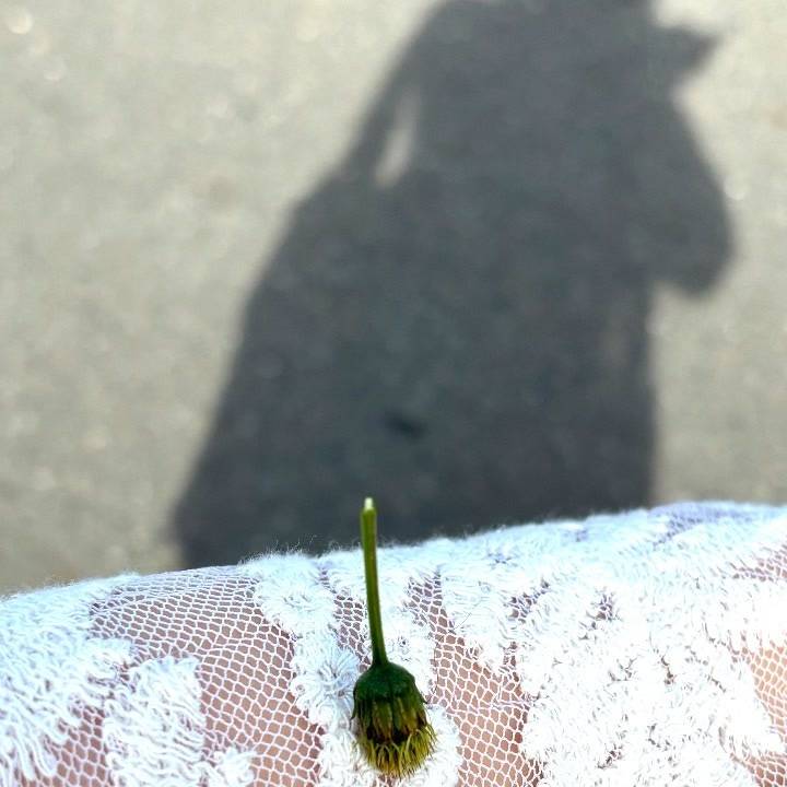 ひっつき虫がほしい