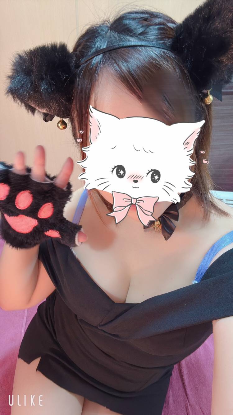 拾ってください🐈‍⬛🐾