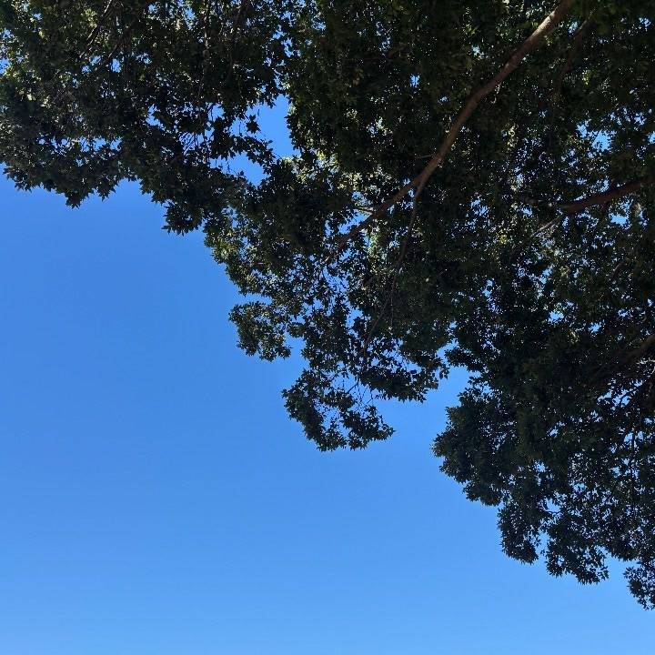 充電してきます