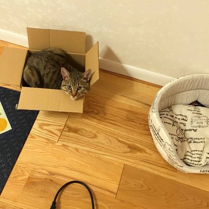 ちょっとした現実逃避