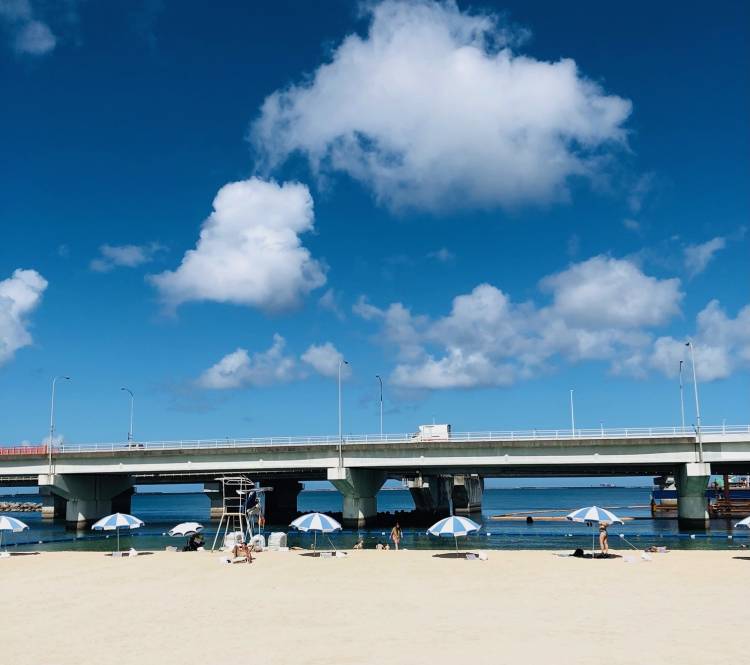 遅い夏休み🌺