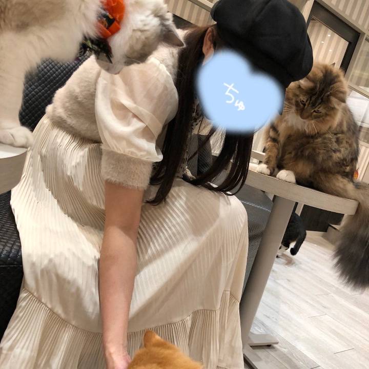 このあと楽しみ…に……し…(っ˘꒳˘ｃ)ｽﾔｧ💤💤💤