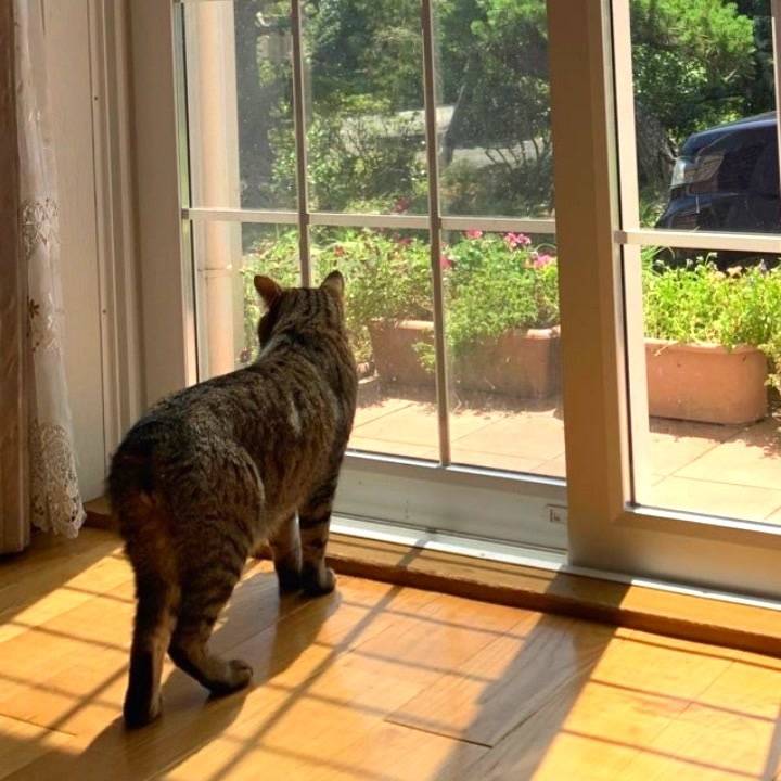 亜鉛不足って貧血って言うんですか
