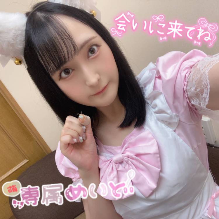 ねこねこにゃんにゃん🐱🐾