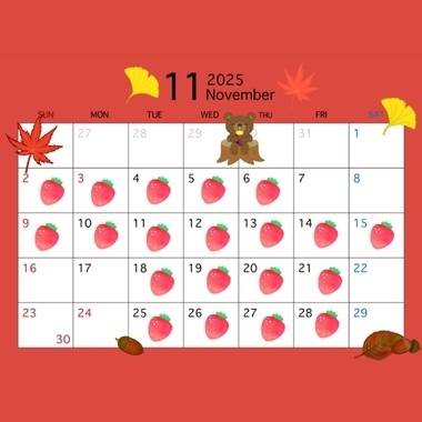 🍙11月出勤予定🍙