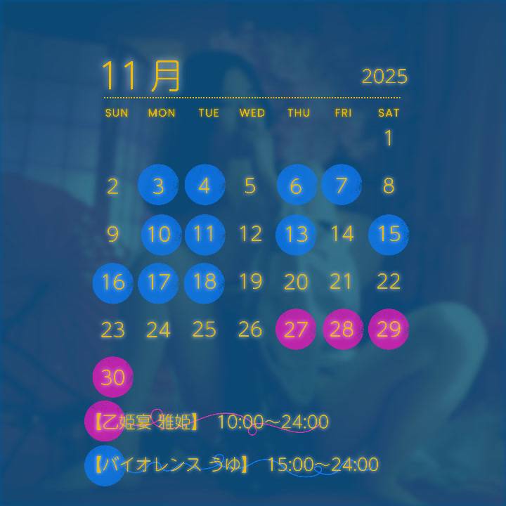 【11月の予定】
