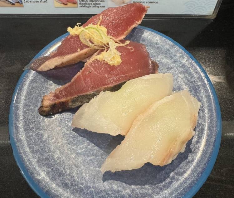 本日も居ますよ〜〜〜〜〜〜🎶