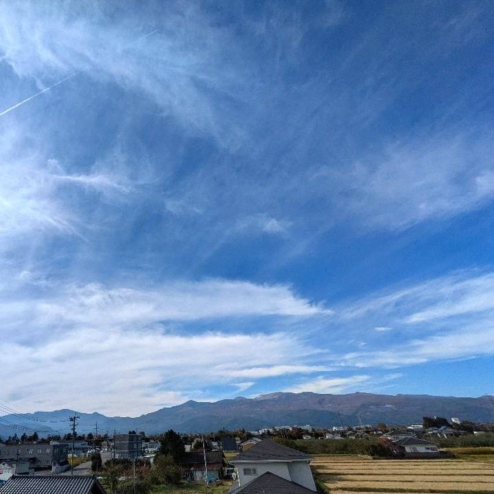 来週出勤しまーす！