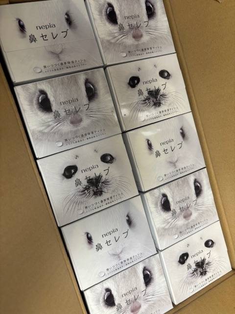 出勤しました😙