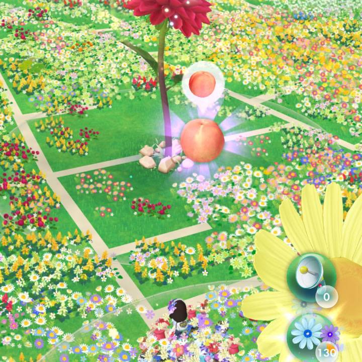 花咲か🌸姉さん