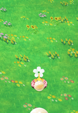 大好きな黄ピクミン🌼