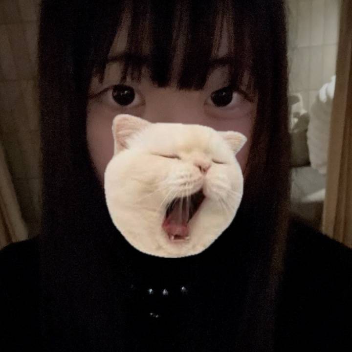 12月は少なめだから、今たくさん会いたい❕