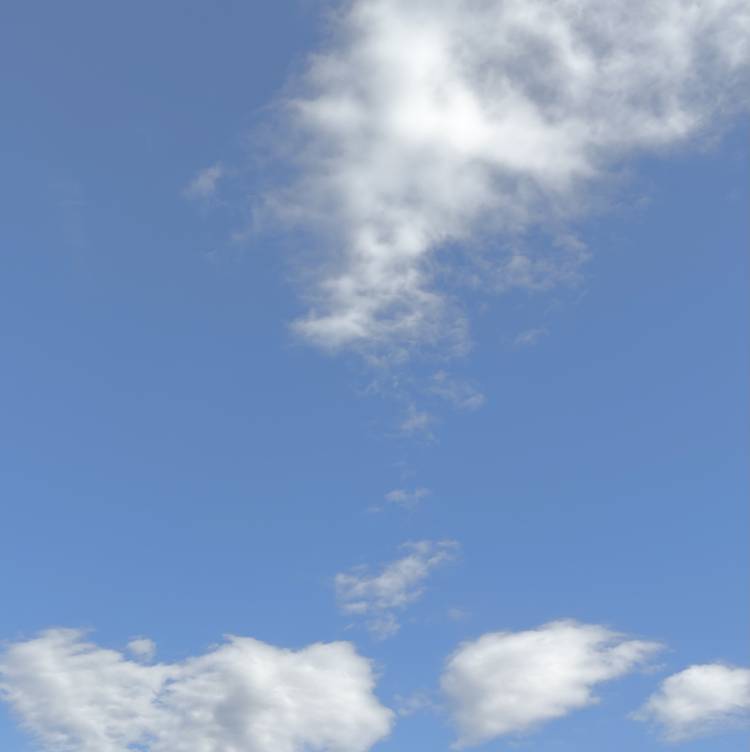 本日のご飯🍚✨