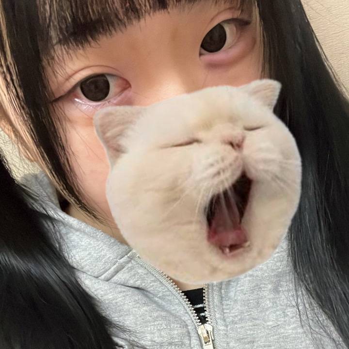 ここね出勤しました🫧