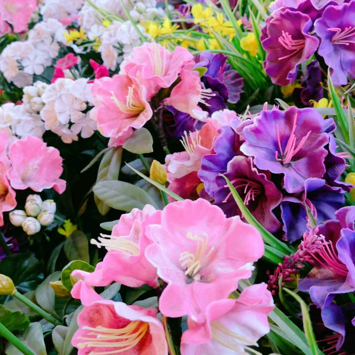 今日もありがとう🤍