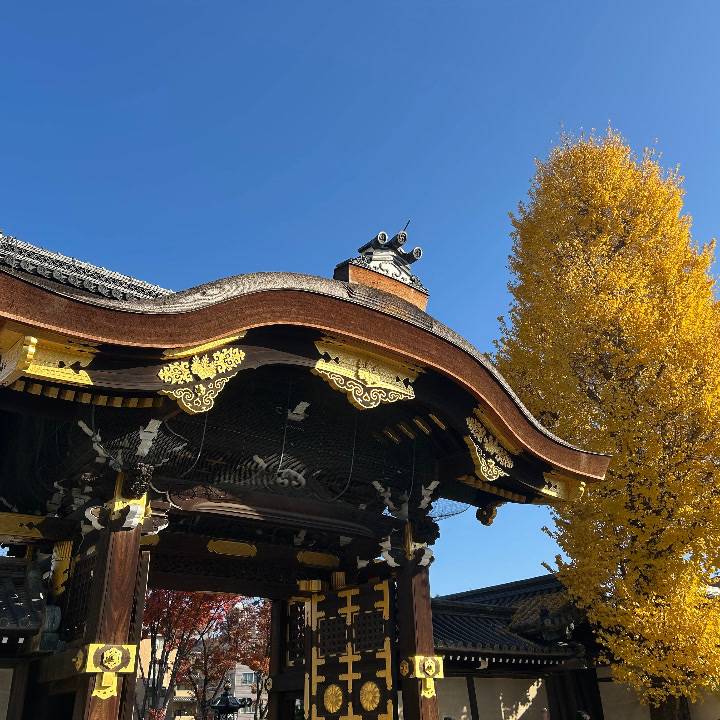 12月スタート🛁