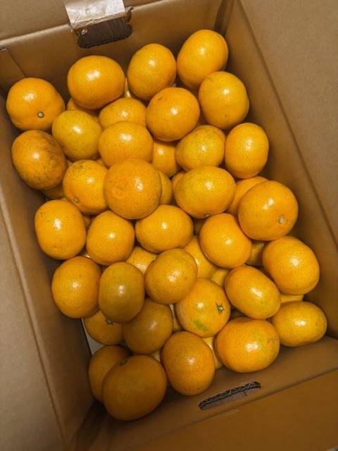 出勤しました☺️