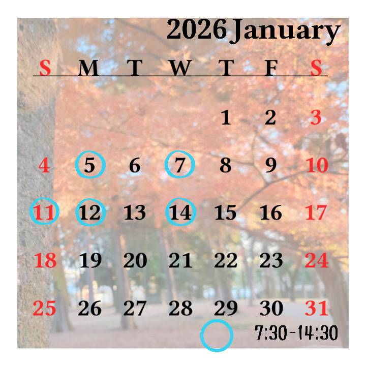 【1月前半🔔】