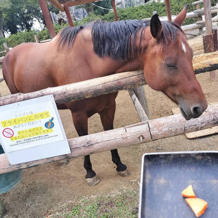 おはようございます🎍