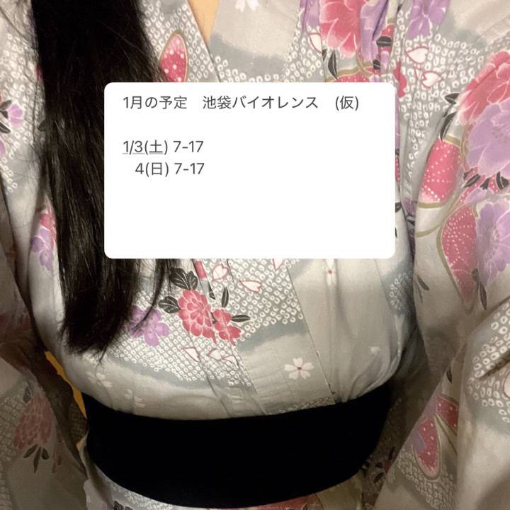 ここねの1月予定です