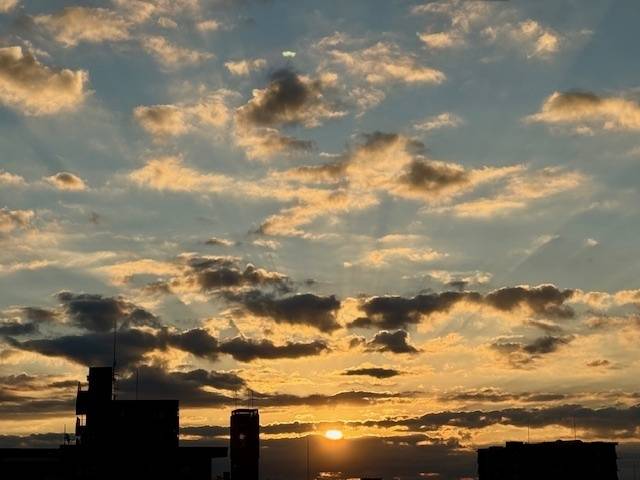 今年も宜しくお願いします