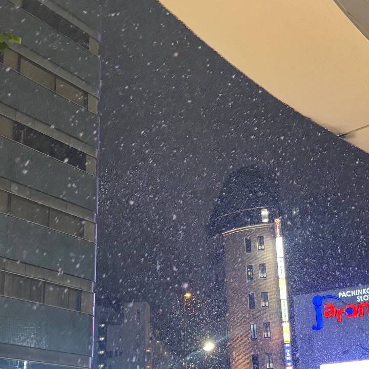 昨日の❄️