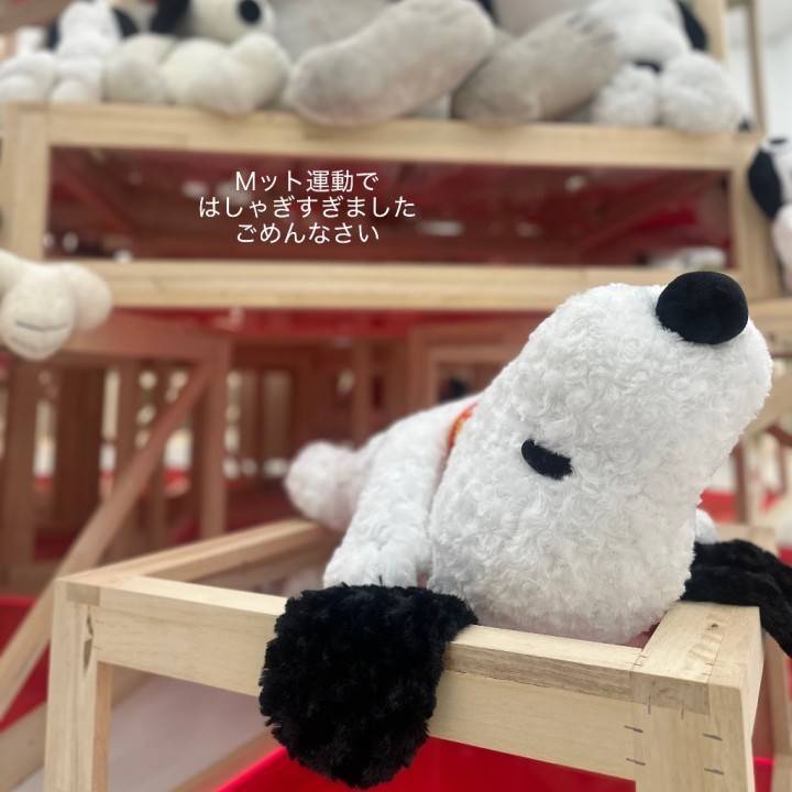 ごめんなさい💦