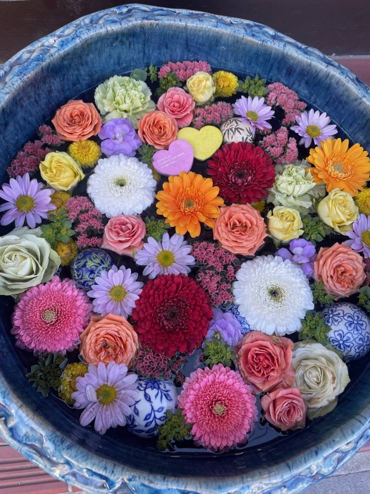 明日明後日空き