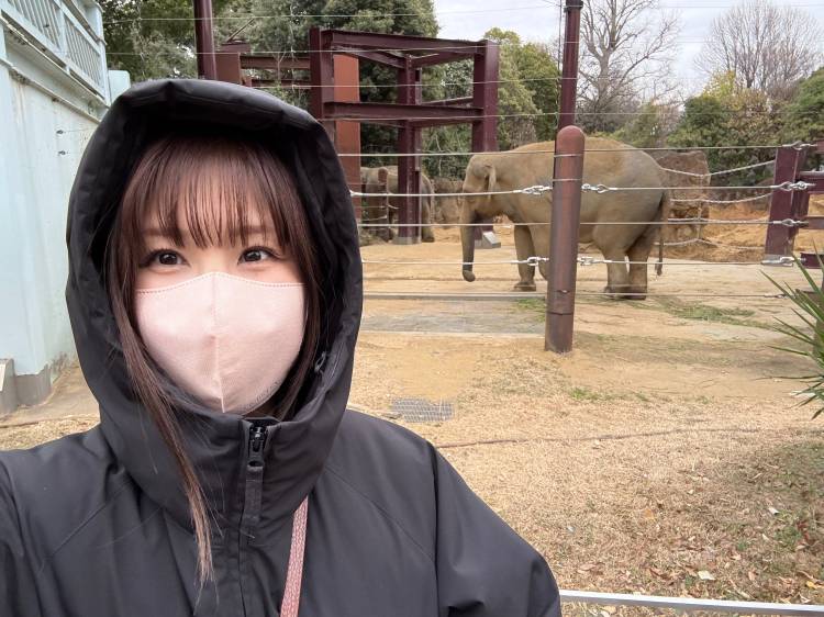 明日17時までに延長