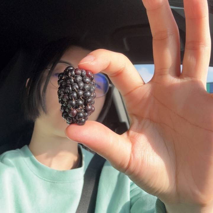 【ブラックベリー以外と好きなんす】