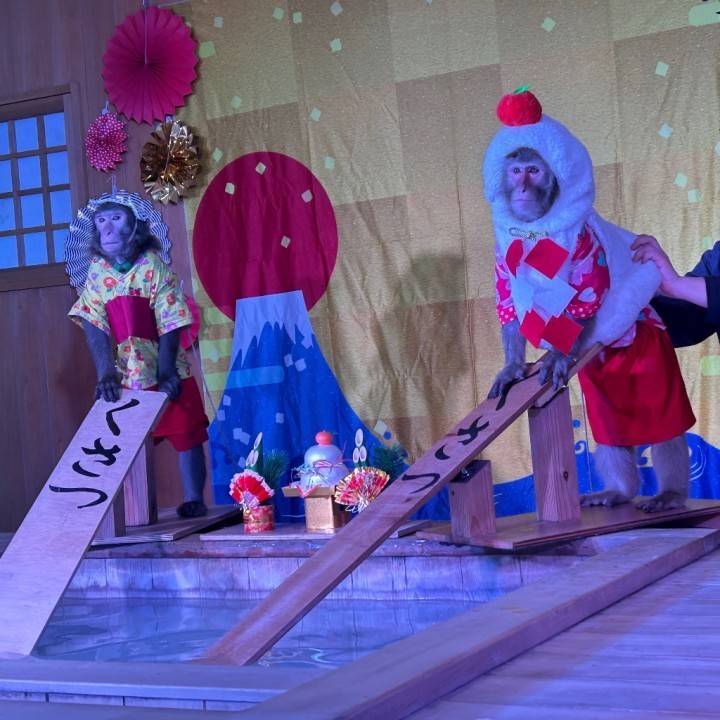 有能な🐒🐒🐒🐒