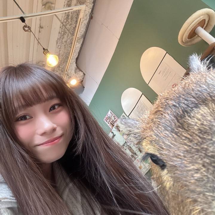 こんばんは･:*+.(( °ω° ))/.:+