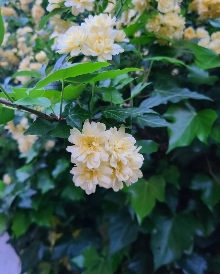 【来週の空き枠】