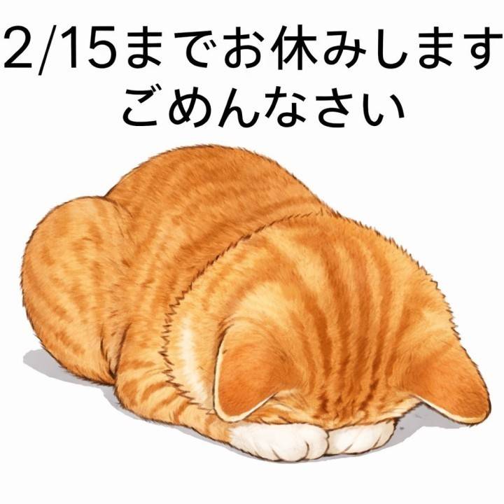 15日まで🙇🏻‍♀️՞