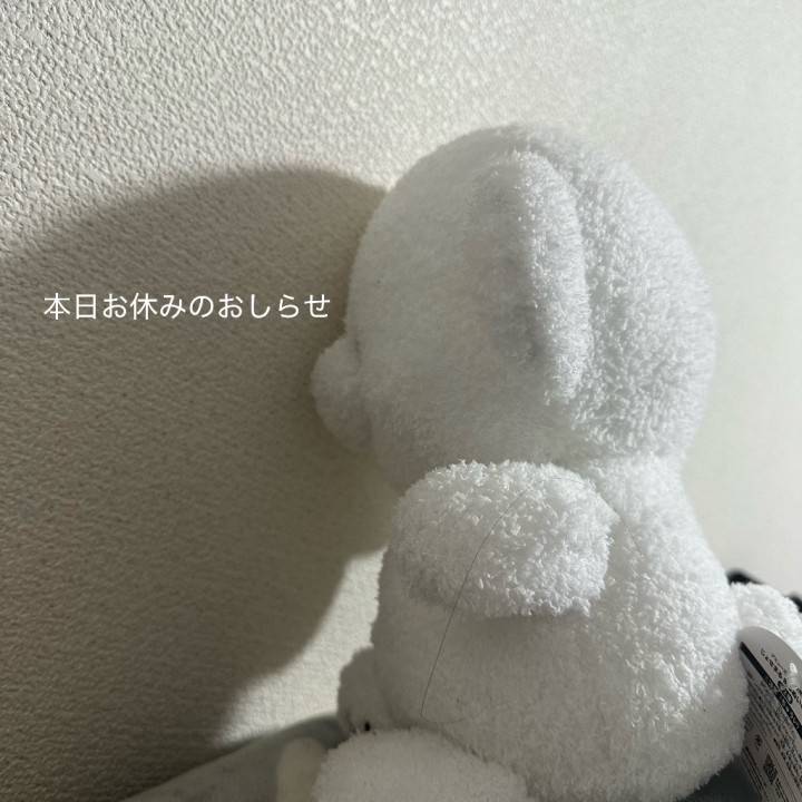 申し訳ございません